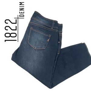 1822 Denim Women’s Dark and Faded Blue Jeans - Size 14